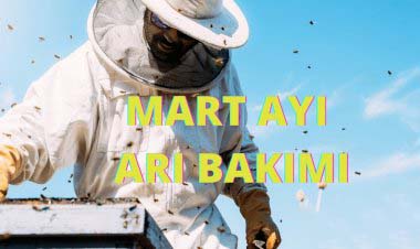 Mart Ayı Arıcılık Faaliyetleri