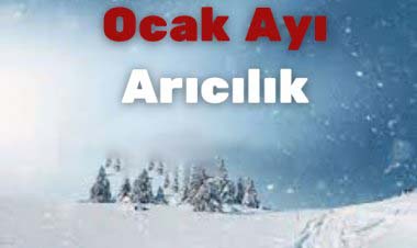 Ocak Ayı Arıcılık