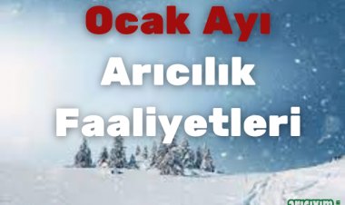 Ocak Ayı Arıcılık Faaliyetleri