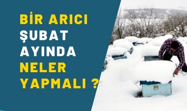 Şubat Ayı Arıcılık Faaliyetleri