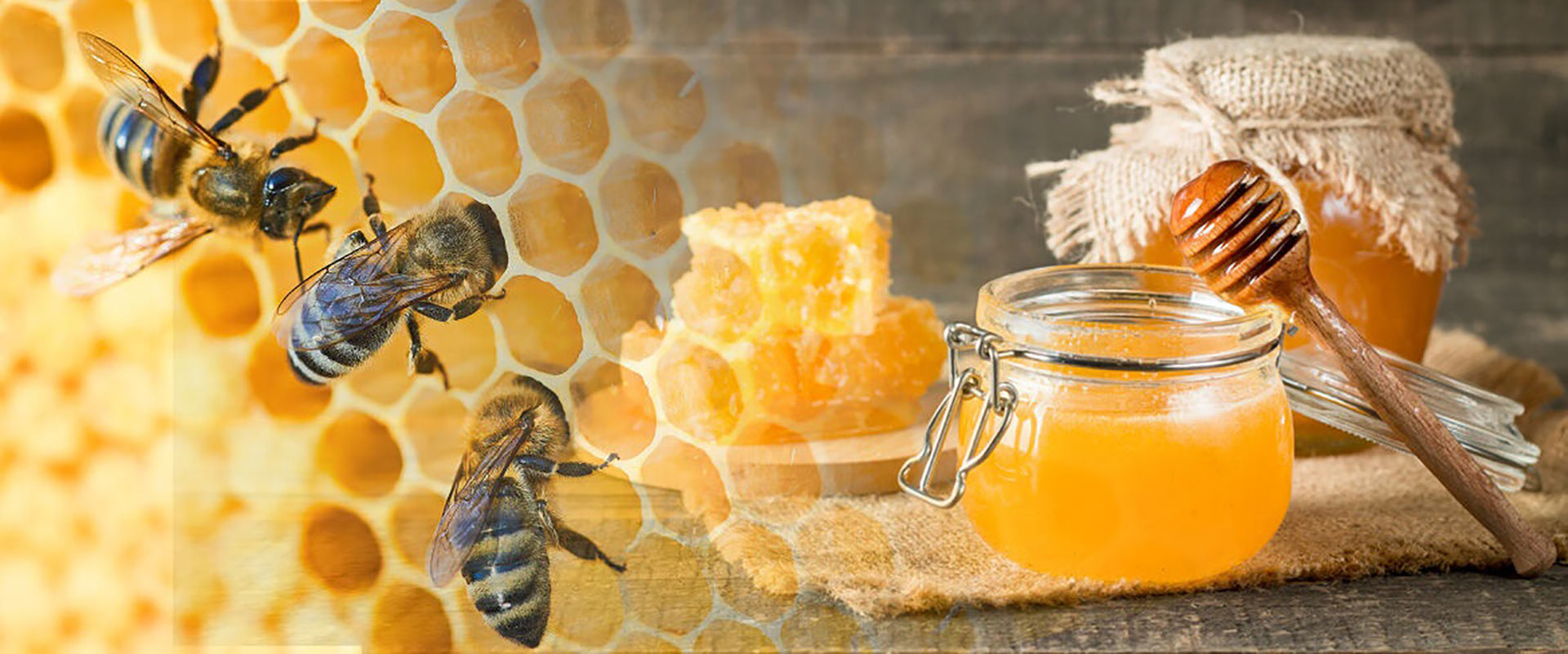 Arı Irkları ve Ana Arı Yetiştirme